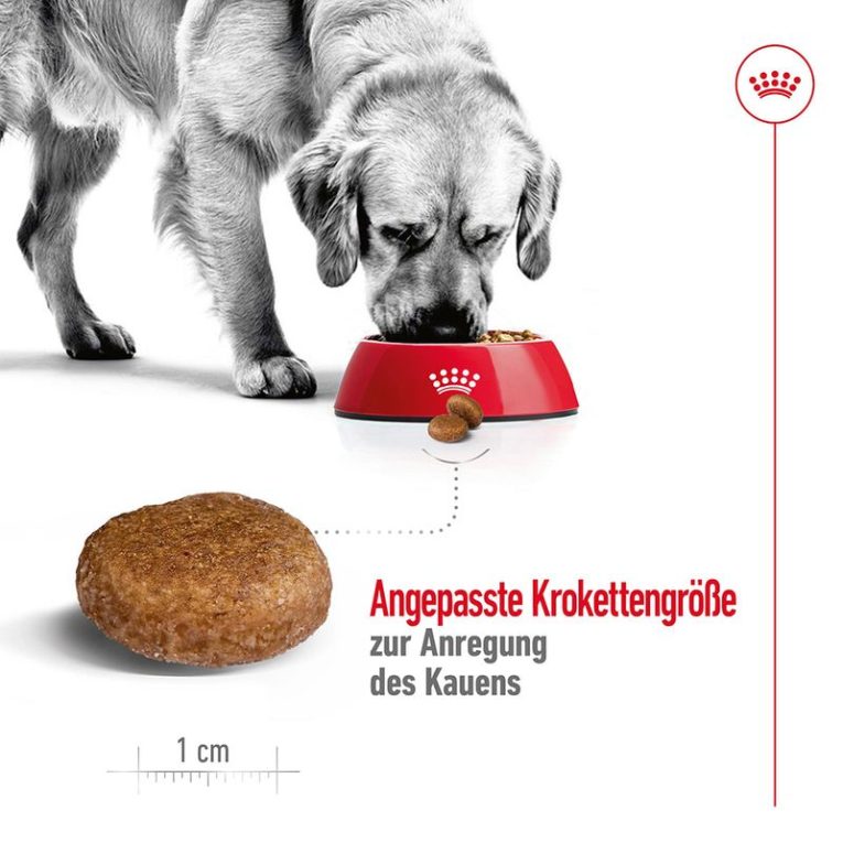 Royal Canin Maxi Adult 5+4