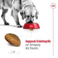 Royal Canin Maxi Adult3