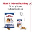 Royal Canin Maxi Adult5