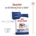 Royal Canin Maxi Adult6