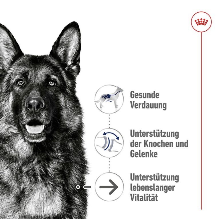 Royal Canin Maxi Ageing 8+3