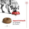 Royal Canin Maxi Ageing 8+5