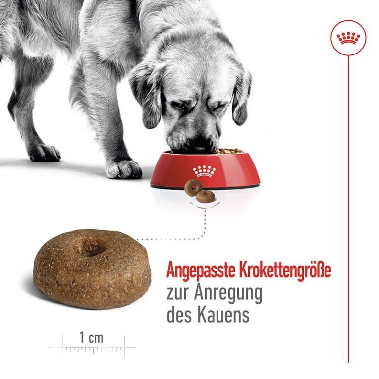 Royal Canin Maxi Ageing 8+5
