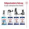 Royal Canin Maxi Ageing 8+6