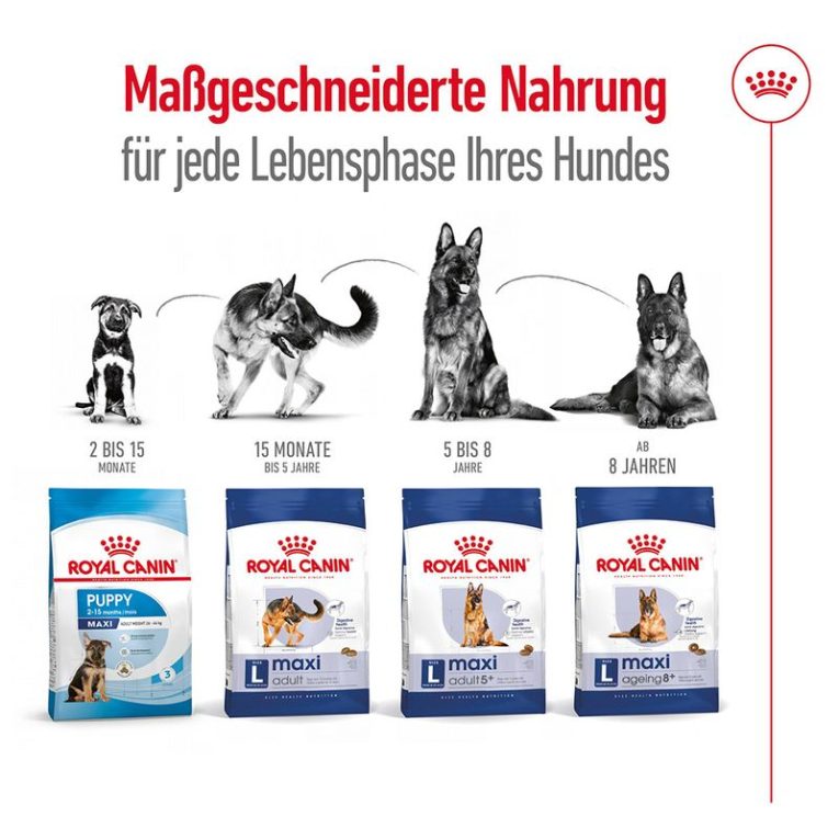 Royal Canin Maxi Ageing 8+6