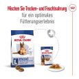 Royal Canin Maxi Ageing 8+7