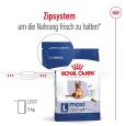 Royal Canin Maxi Ageing 8+8