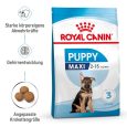 Royal Canin Maxi Puppy1