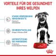 Royal Canin Maxi Puppy3