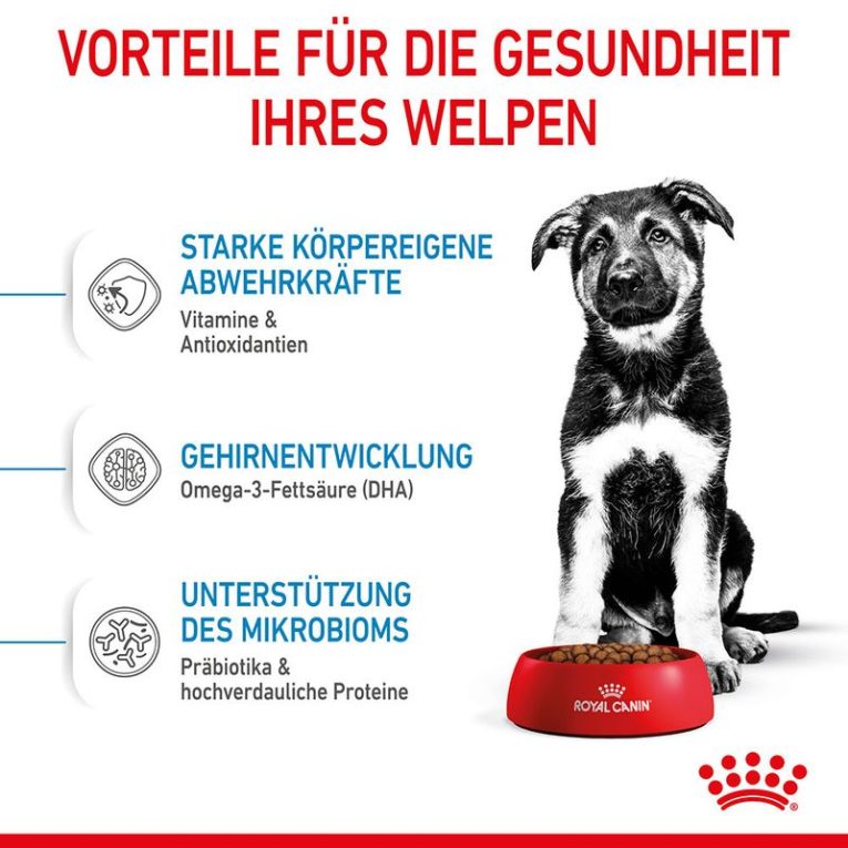 Royal Canin Maxi Puppy3