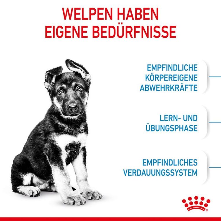 Royal Canin Maxi Puppy4
