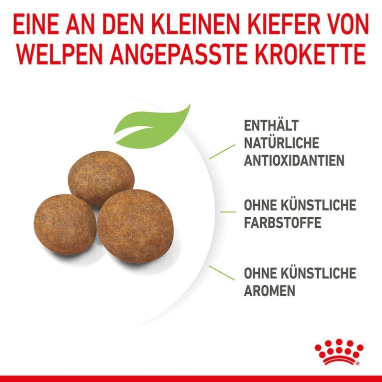 Royal Canin Maxi Puppy5