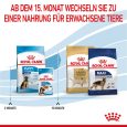 Royal Canin Maxi Puppy7