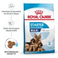 Royal Canin Maxi Starter Mother & Babydog1