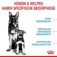 Royal Canin Maxi Starter Mother & Babydog4