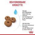 Royal Canin Maxi Starter Mother & Babydog5
