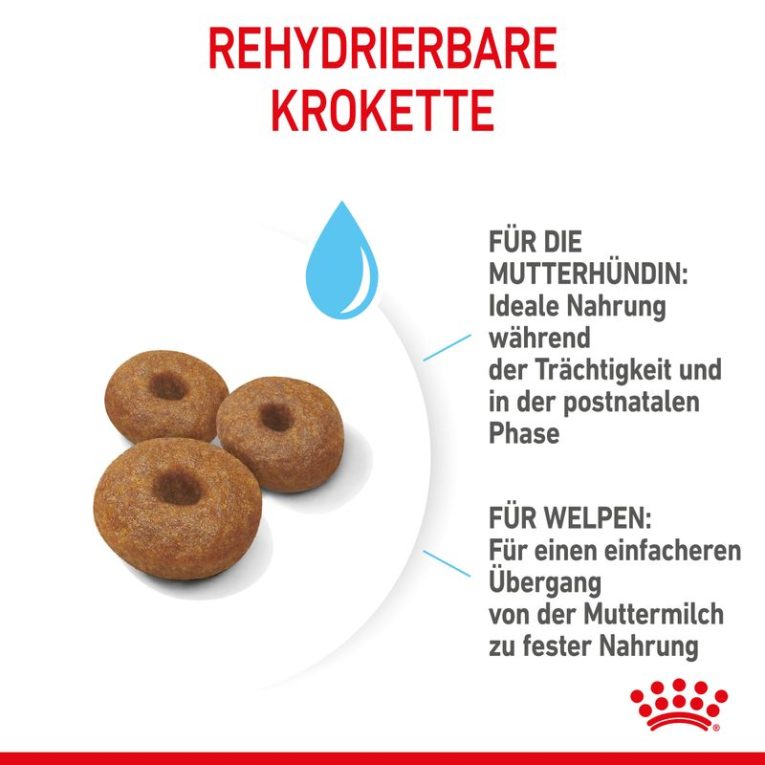 Royal Canin Maxi Starter Mother & Babydog5