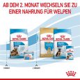 Royal Canin Maxi Starter Mother & Babydog6