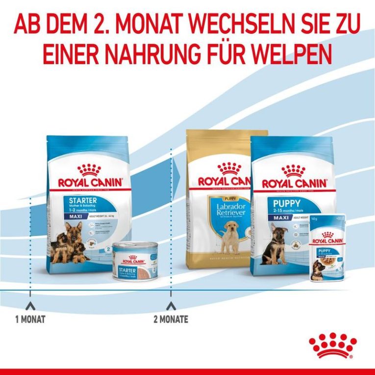 Royal Canin Maxi Starter Mother & Babydog6