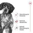 Royal Canin Medium Adult 7+2