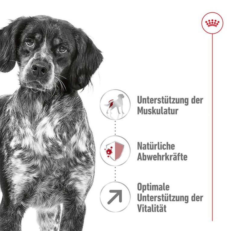 Royal Canin Medium Adult 7+2