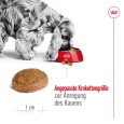 Royal Canin Medium Adult 7+4