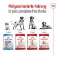 Royal Canin Medium Adult 7+5