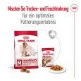 Royal Canin Medium Adult 7+6