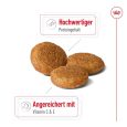 Royal Canin Medium Adult2