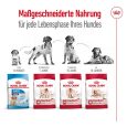 Royal Canin Medium Adult4