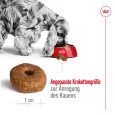 Royal Canin Medium Ageing 10+4