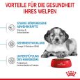 Royal Canin Medium Puppy3