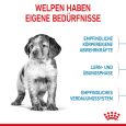 Royal Canin Medium Puppy4