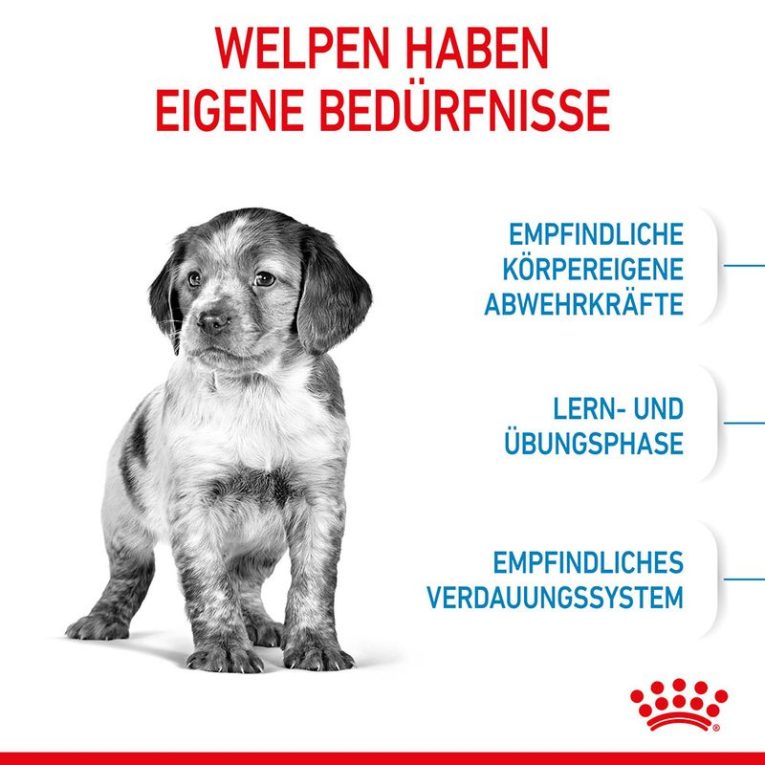 Royal Canin Medium Puppy4