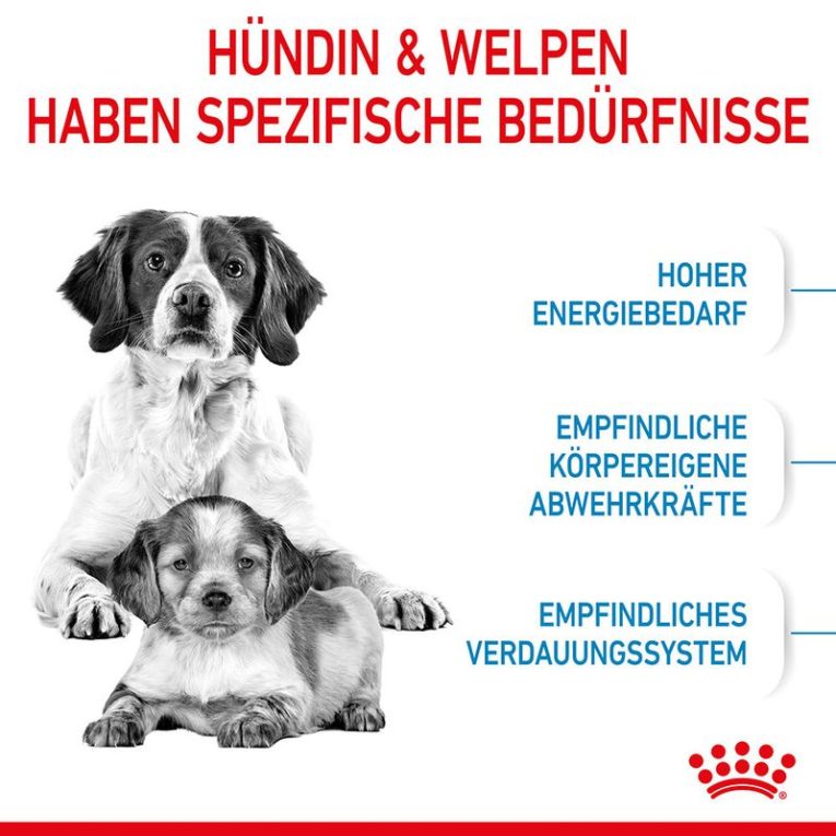 Royal Canin Medium Starter Mother & Babydog3