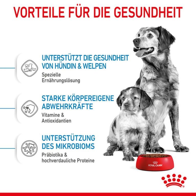 Royal Canin Medium Starter Mother & Babydog4
