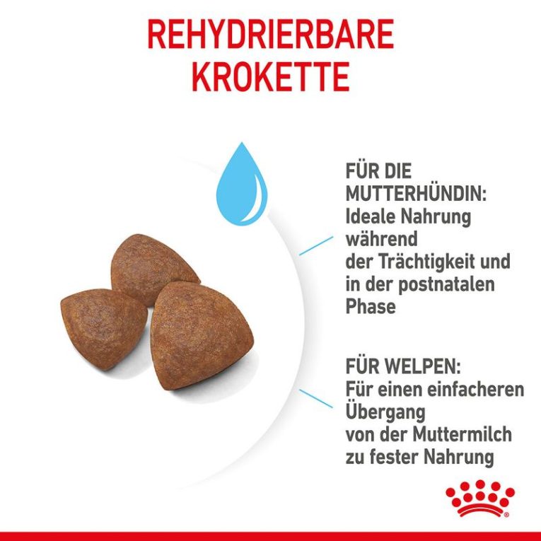 Royal Canin Medium Starter Mother & Babydog5
