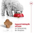 Royal Canin Mini Adult 8+4