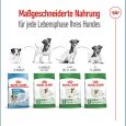 Royal Canin Mini Adult 8+5