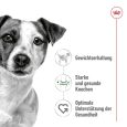 Royal Canin Mini Adult3