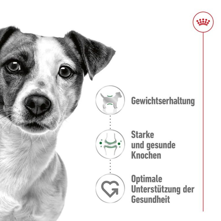 Royal Canin Mini Adult3