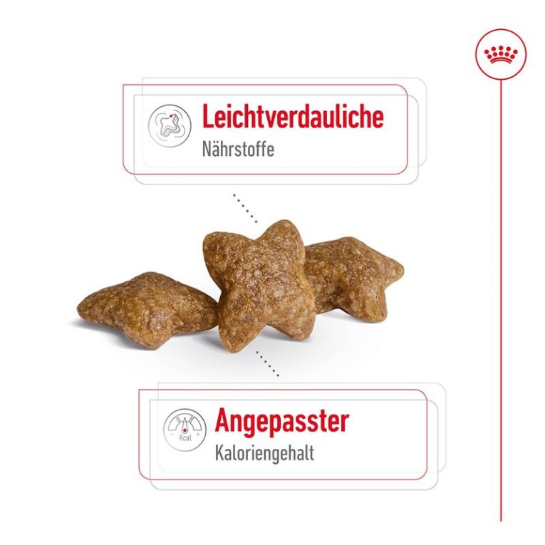 Royal Canin Mini Adult4