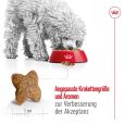 Royal Canin Mini Adult5