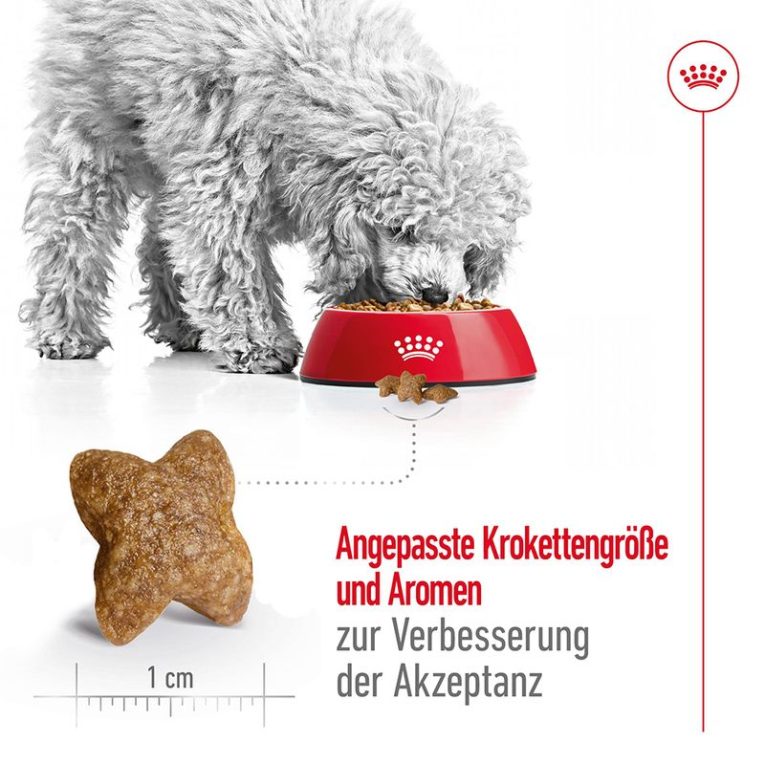 Royal Canin Mini Adult5