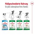 Royal Canin Mini Adult6