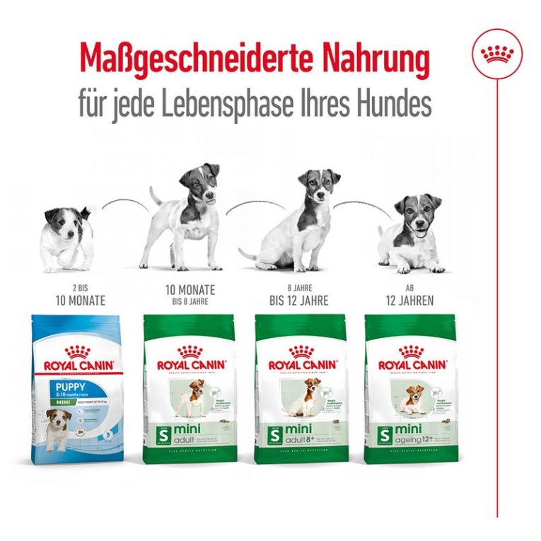 Royal Canin Mini Adult6