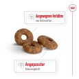 Royal Canin Mini Ageing 12+4