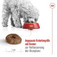 Royal Canin Mini Ageing 12+5