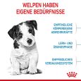 Royal Canin Mini Puppy4