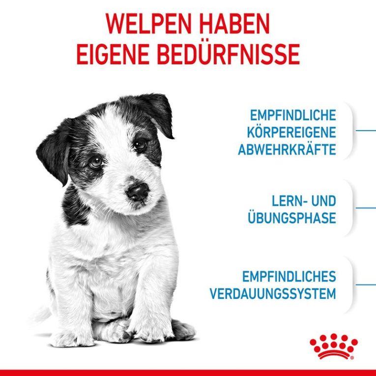 Royal Canin Mini Puppy4